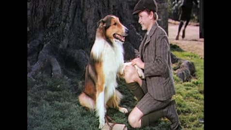 Lassie Come Home (1943) - IMDb
