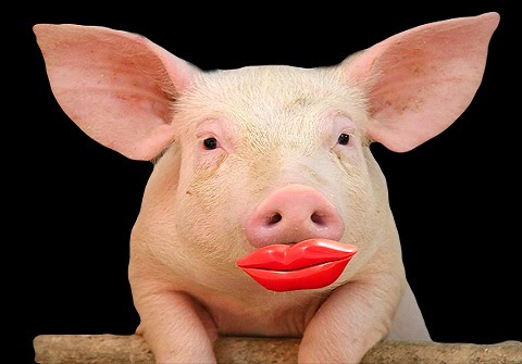 Fletcher's Castoria: Lipstick on a Pig